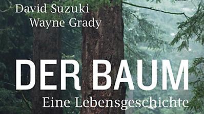 Cover Der Baum