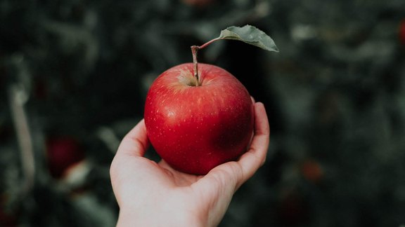 Apfel in Hand - Foto: Du Preez/unsplash