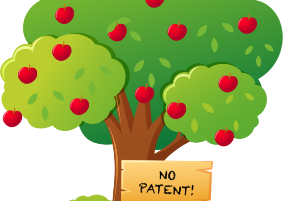 Apfelbaum - No Patent